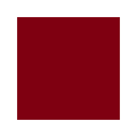 WAMO TECHNOSOL IHC Rot Alt - LM 0219