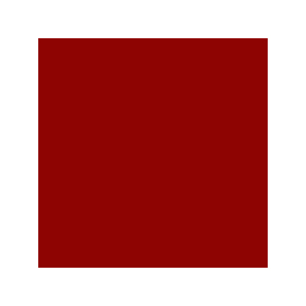 WAMO TECHNOSOL Case Rot - LM 0278