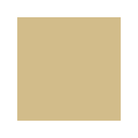 WAMO TECHNOSOL RAL 1001 Beige