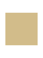 WAMO TECHNOSOL RAL 1001 Beige